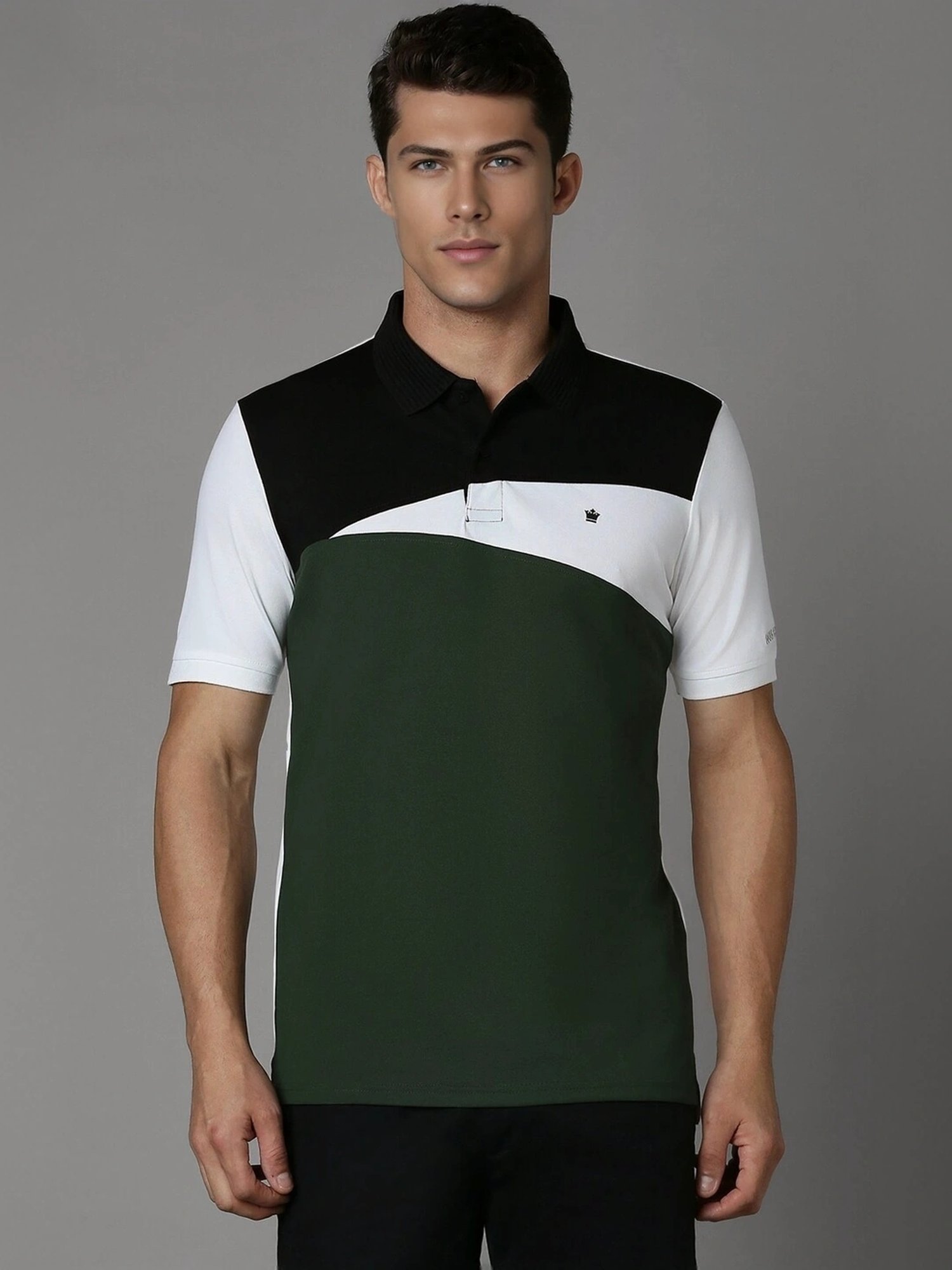 Louis Philippe Green Regular Fit Colour Block Polo T-Shirt