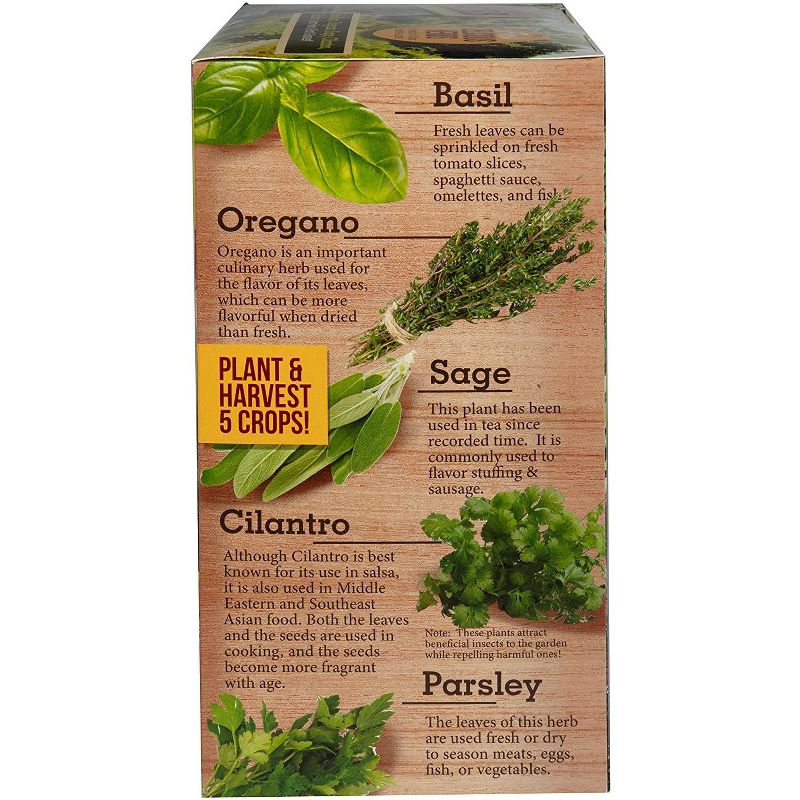 Toys By Nature Biosphere Terrariums - Culinary Herb Garden