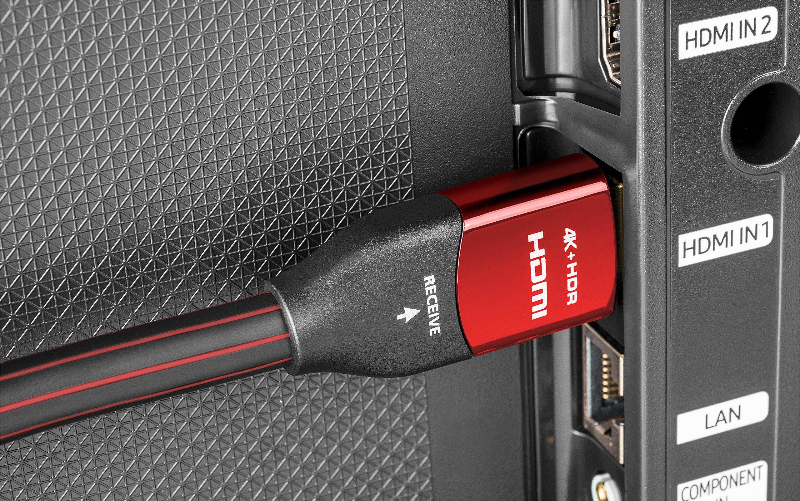 AudioQuest Cinnamon Active HDMI Cable - 49.21 ft. (15m)