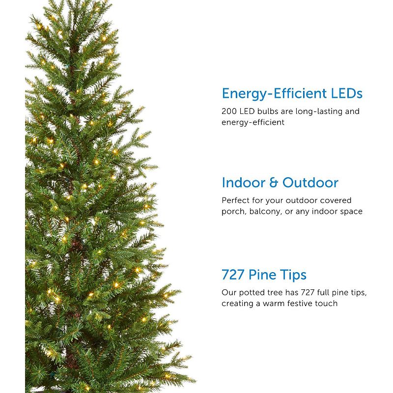 NOMA CTI1517110 5-Foot Arctic Spruce Artificial Pre-Lit Small Holiday Christmas Tree with 200 Warm White Micro Bite LED Lights, and Potted Tree Stand