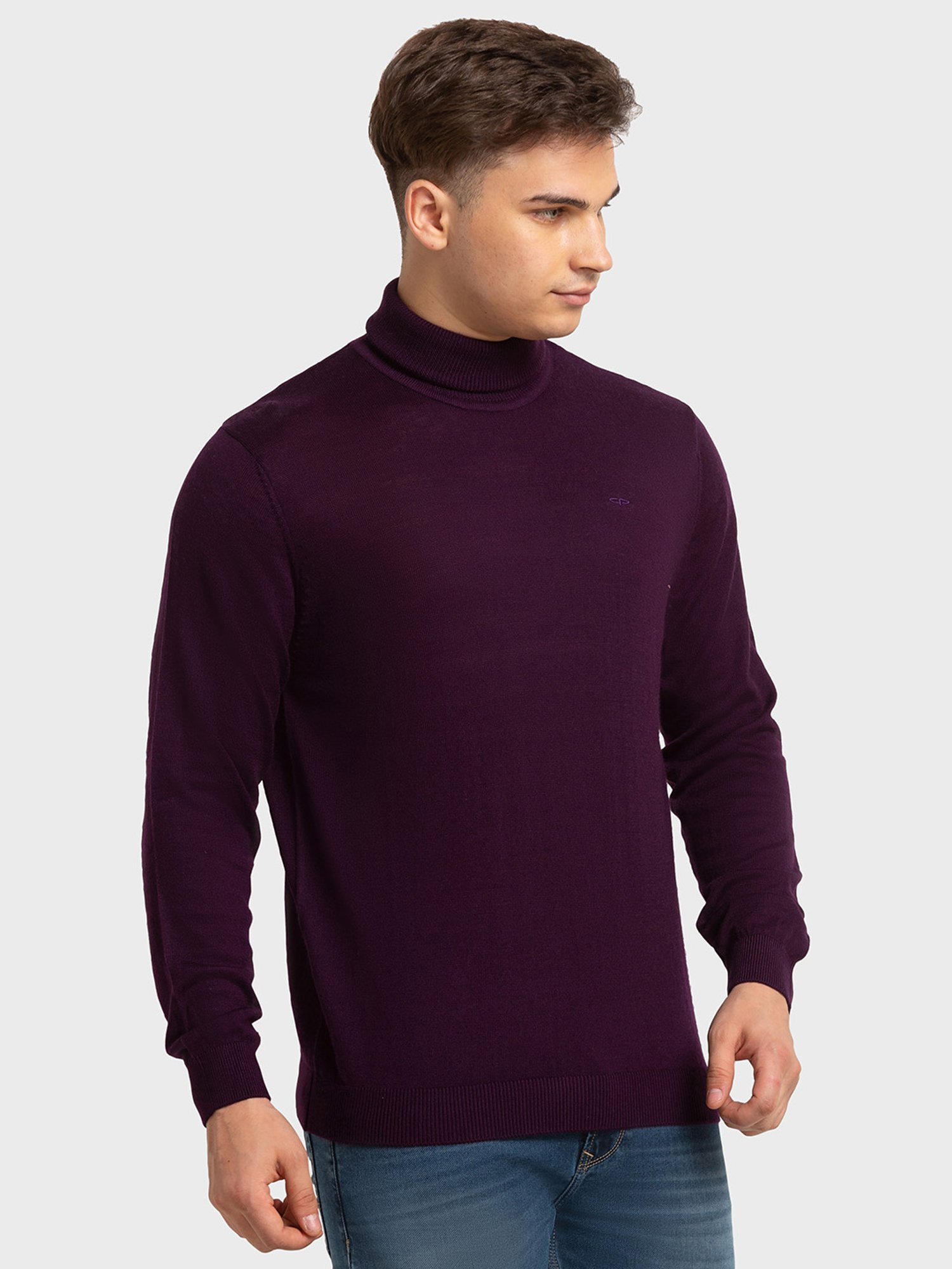 ColorPlus Purple Tailored Fit Sweaters