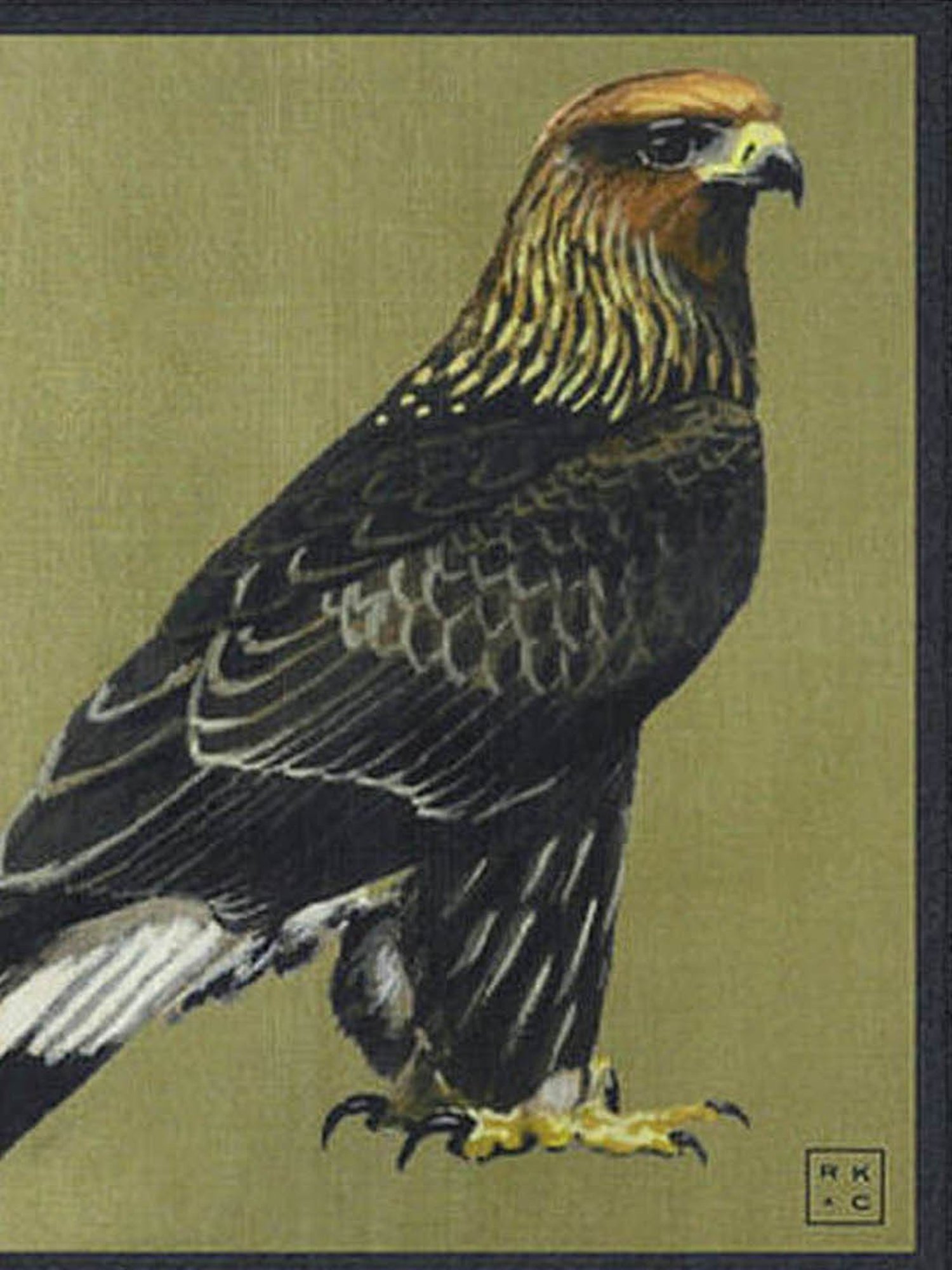 CHOKORE RKXC The Eagle Has Landed Pocket Square