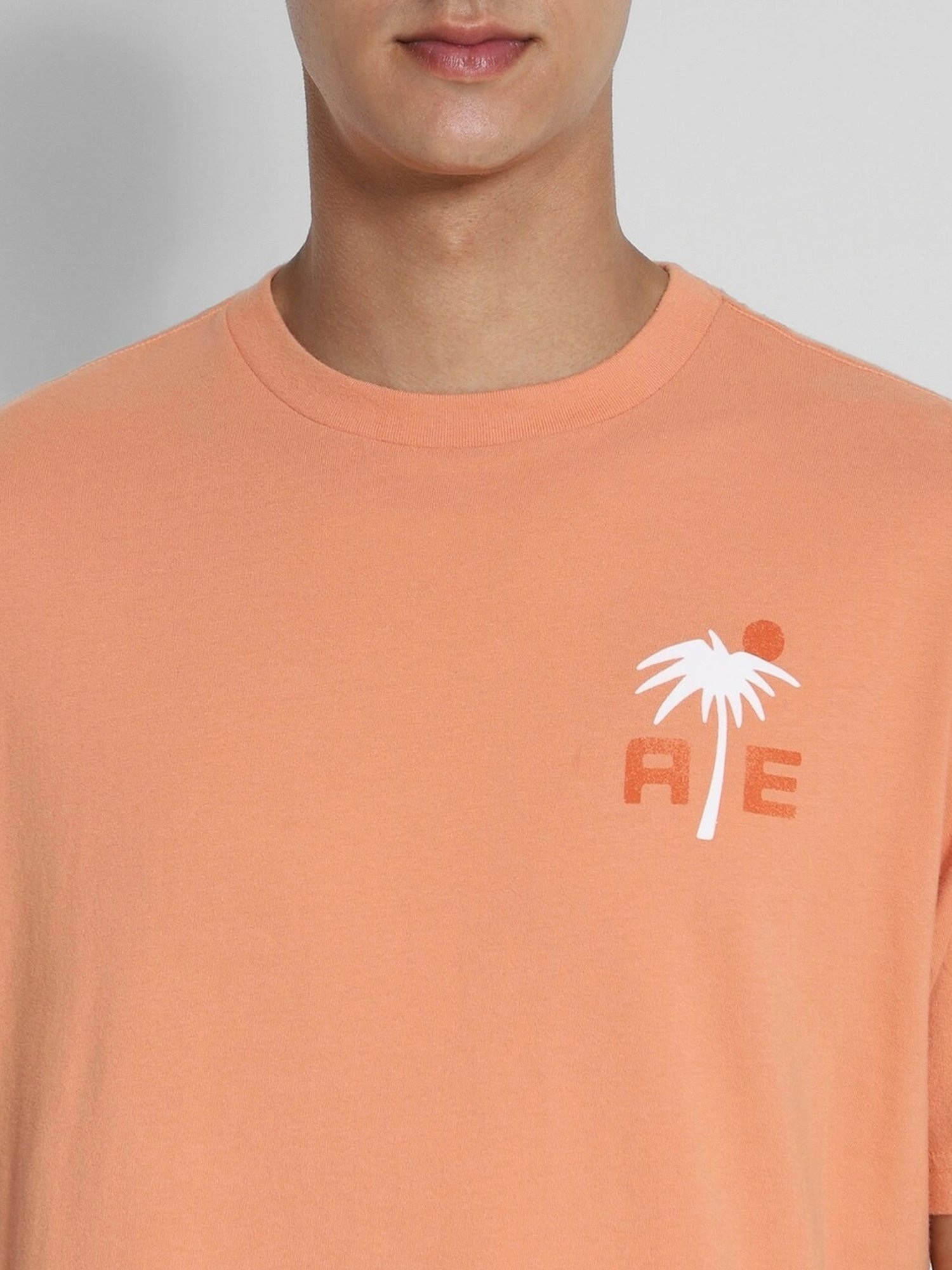American Eagle Orange Cotton Regular Fit Printed T-Shirt