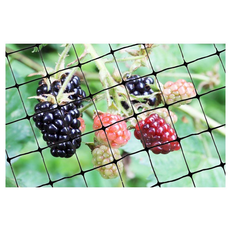 100'x14' Standard Bird Netting - Bird-X