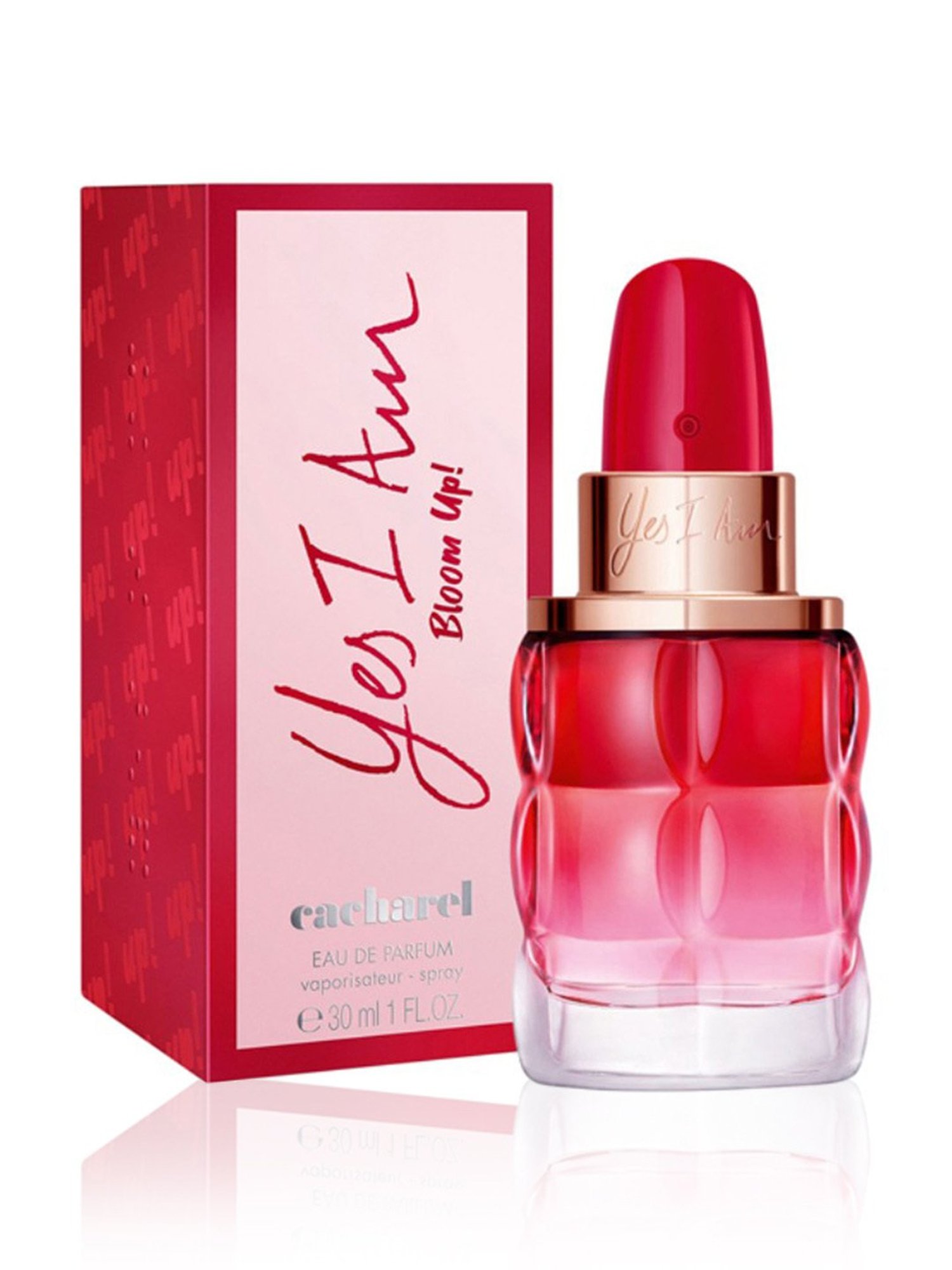 Dorall Collection Monte Carlo Oud Eau de Toilette for Men - 100 ml