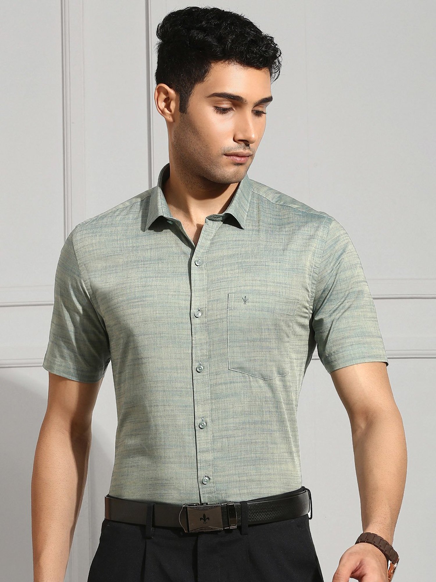 Ramraj Pale Green Regular Fit Textured Cotton Shirt