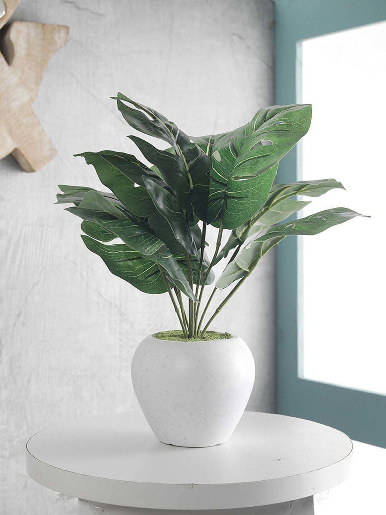 Foliyaj Multicolor Plastic Artificial Monstera Plant With Apple Shaped Pot