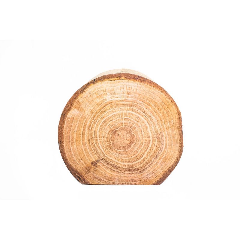 PETKIT Flying Fish Cat Scratcher - White/Blue