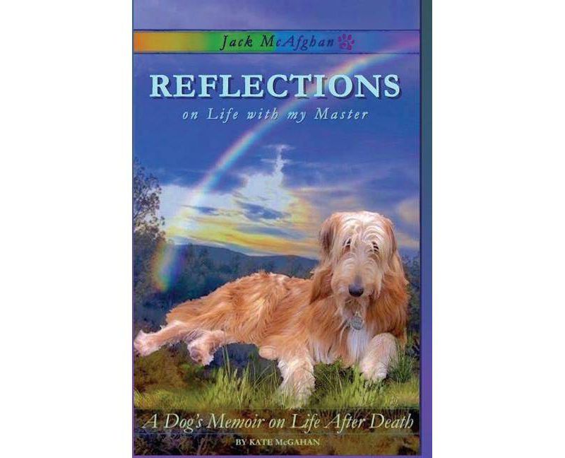 Behold the Personal Maine Coon - by  Phyllis Stiebens (Paperback)