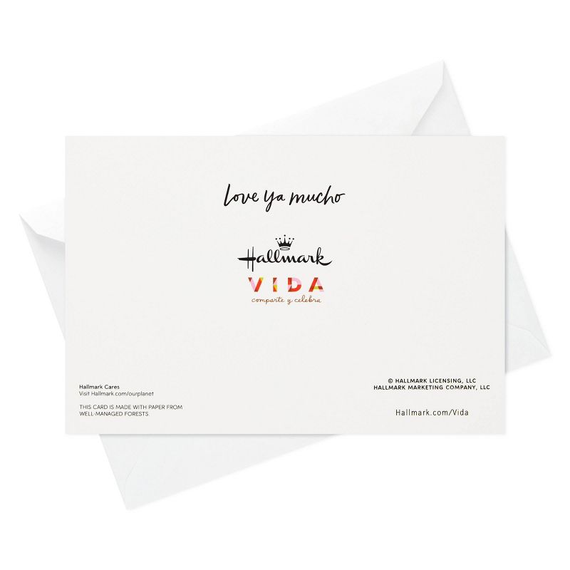 16ct Hallmark Vida Happy Fiesta Lettering Boxed Cards