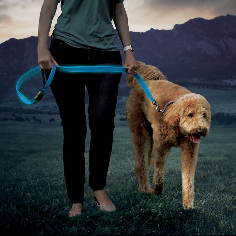 Nite Ize Nite Dog Rechargeable LED Dog Leash - Blue/Blue