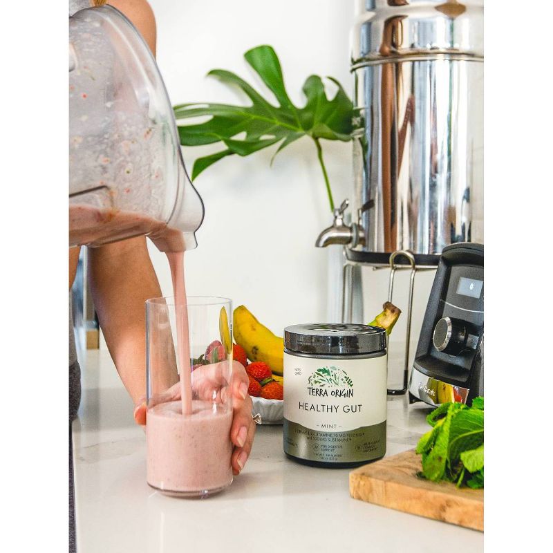 Terra Origin Healthy Gut Powder Mint - 7.83oz
