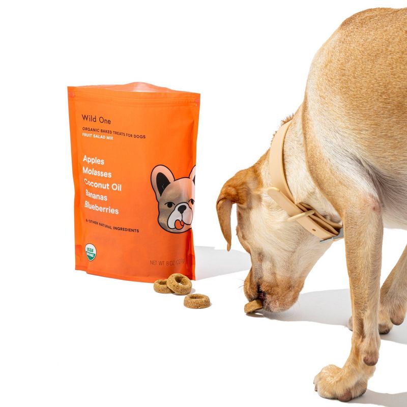 Wild One Organic Fruit Salad Dog Treats - 8oz
