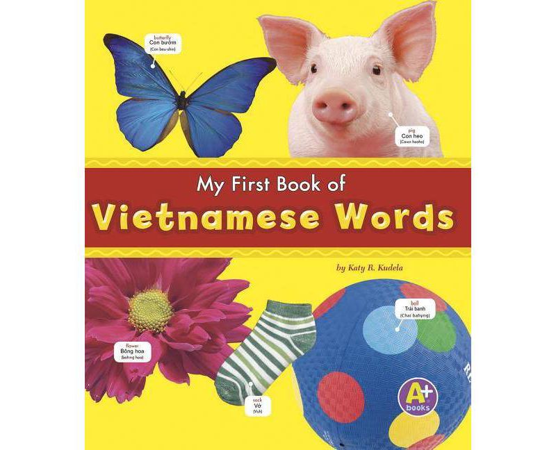 My First Book of Vietnamese Words - (A+ Books: Bilingual Picture Dictionaries) by  Katy R Kudela (Paperback)