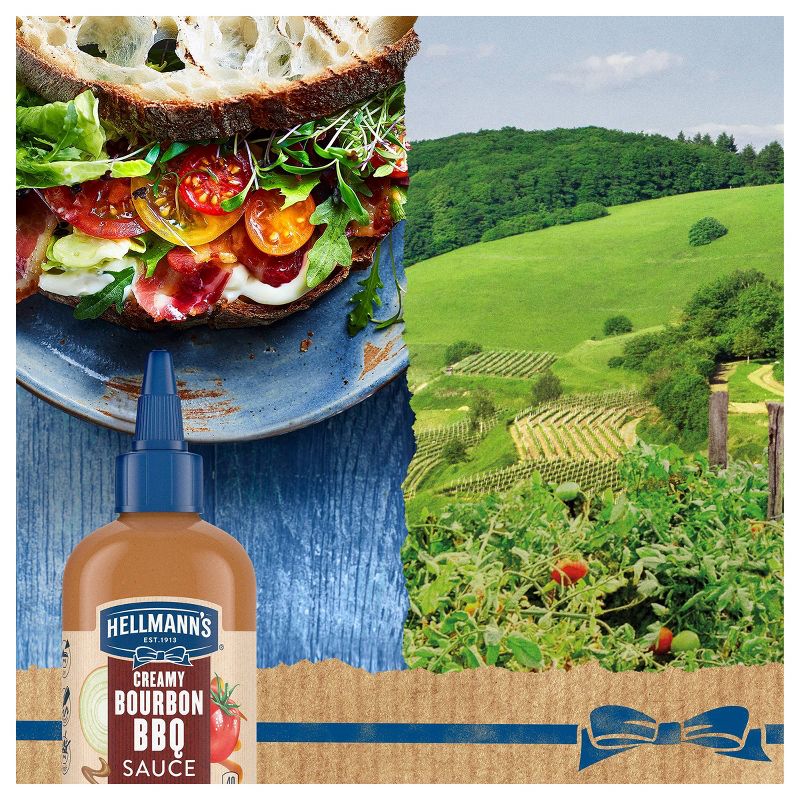 Hellmann's Variety Sauce Bourbon BBQ - 9oz