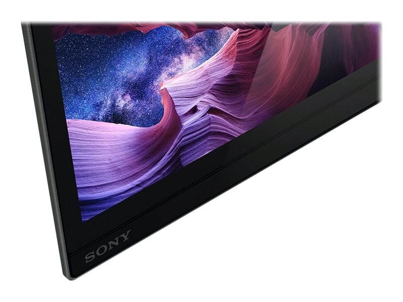 Sony XBR-48A9S 48 Inch MASTER Series BRAVIA OLED 4K Smart HDR TV with a Walts TV Large/Extra Large Tilt Mount for 43"-90" Compatible TV's and a Walts HDTV Screen Cleaner Kit (2020)