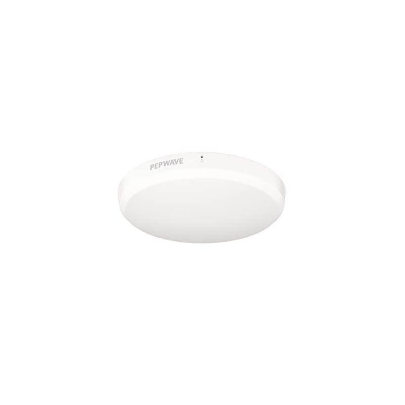 APOENT Pep Wave AP One Enterprise Access Point