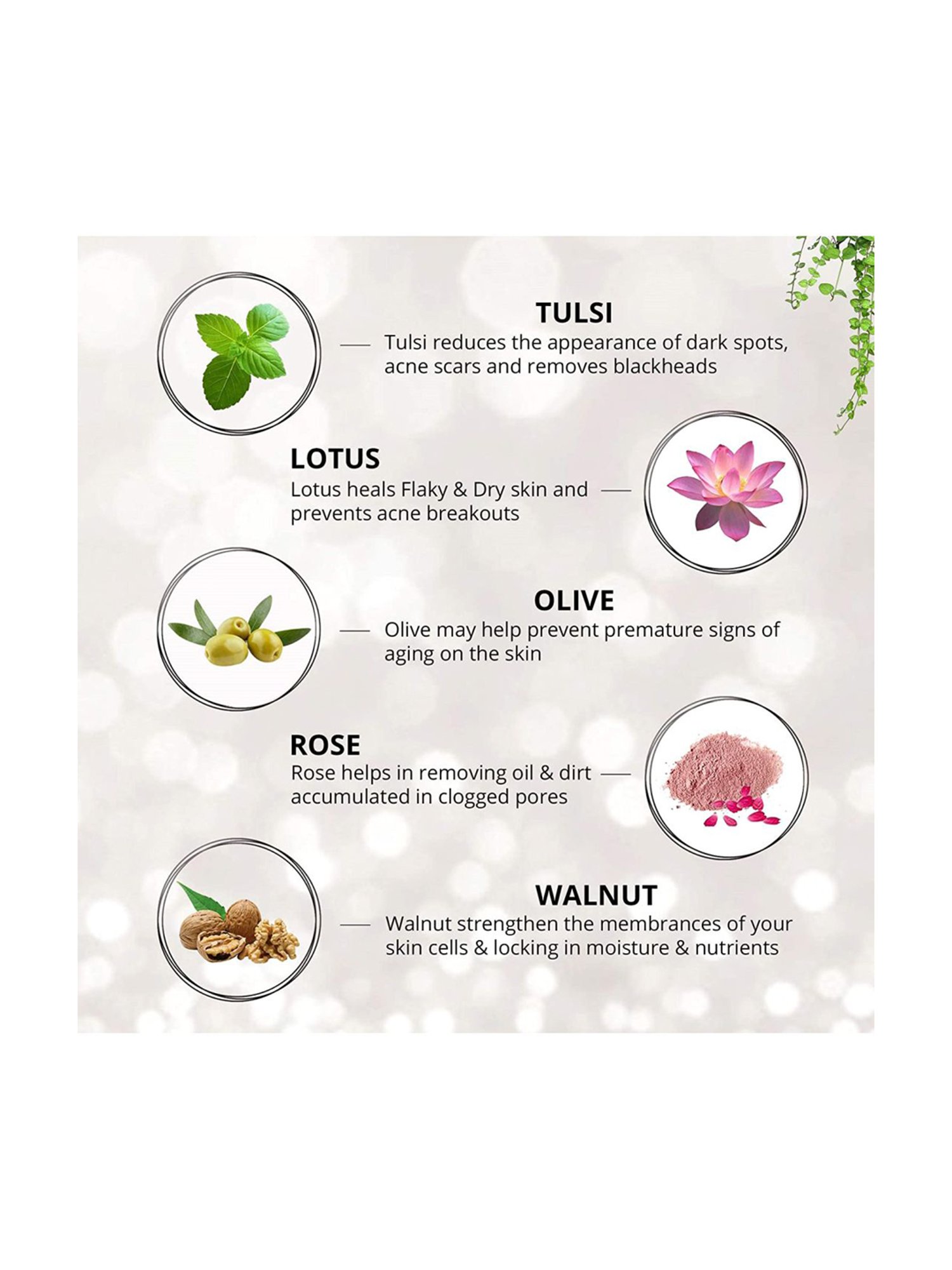 Aryanveda Pearl Spa Facial Kit