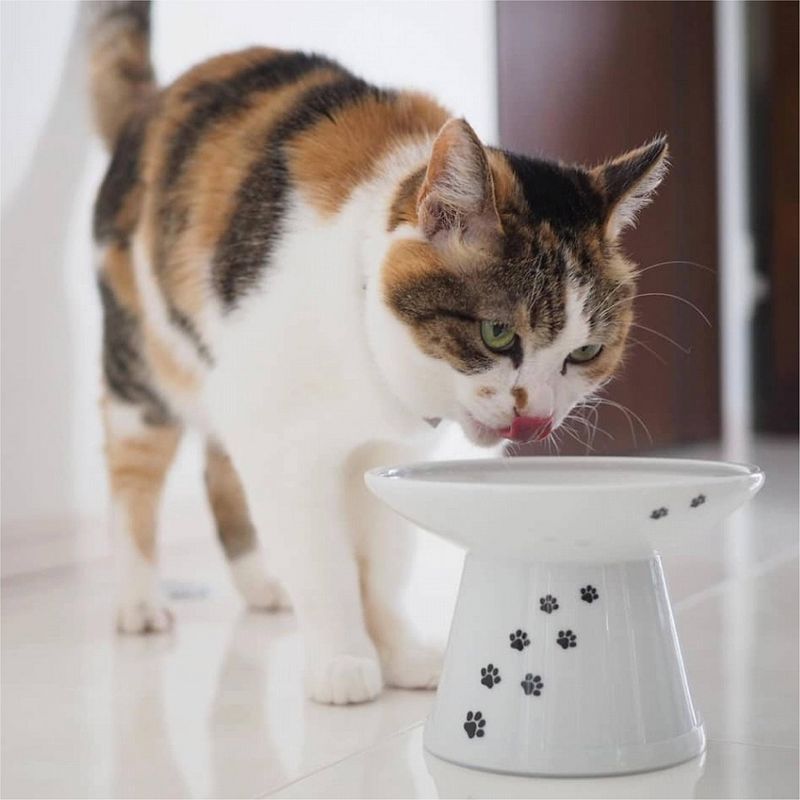 Necoichi Raised Cat Food Bowl - Extra Wide
