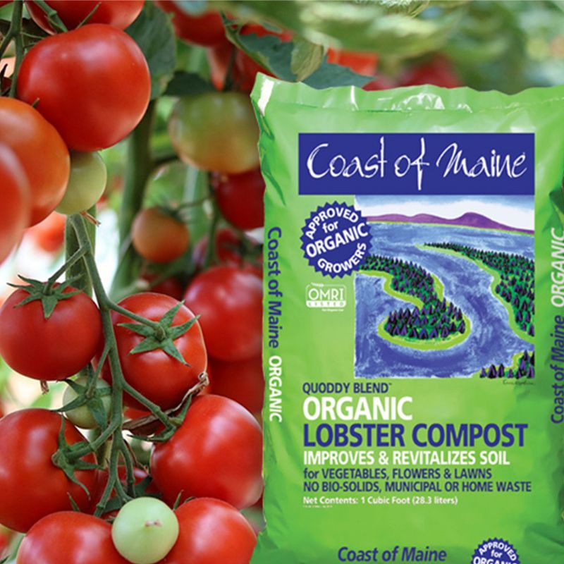 Coast of Maine OMRI Listed Quoddy Blend Lobster and Crab Organic Compost Plant Potting Soil Blend for Container Gardens and Flower Pots, 10 Pound Bag