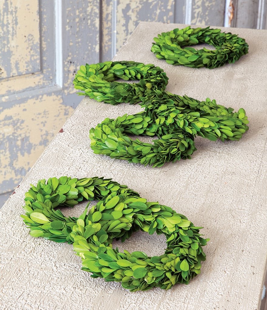 Park Hill Mini Preserved Boxwood Wreaths, Set of 6