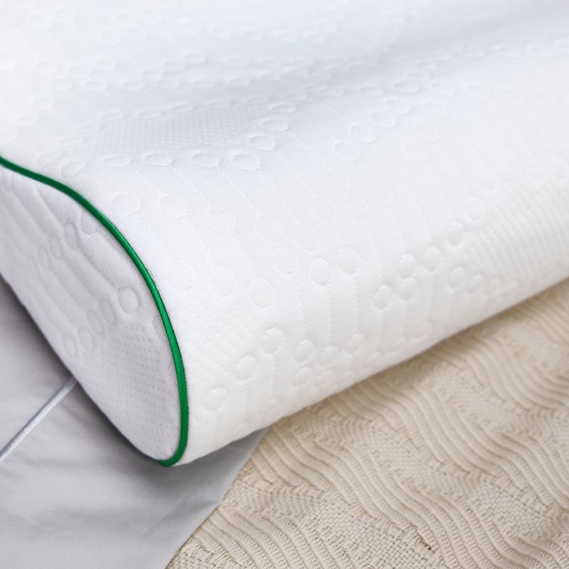 BioPEDIC Fresh and Clean Classic Contour Memory Foam Pillow with Antimicrobial Ultra-Fresh Treated Fabric