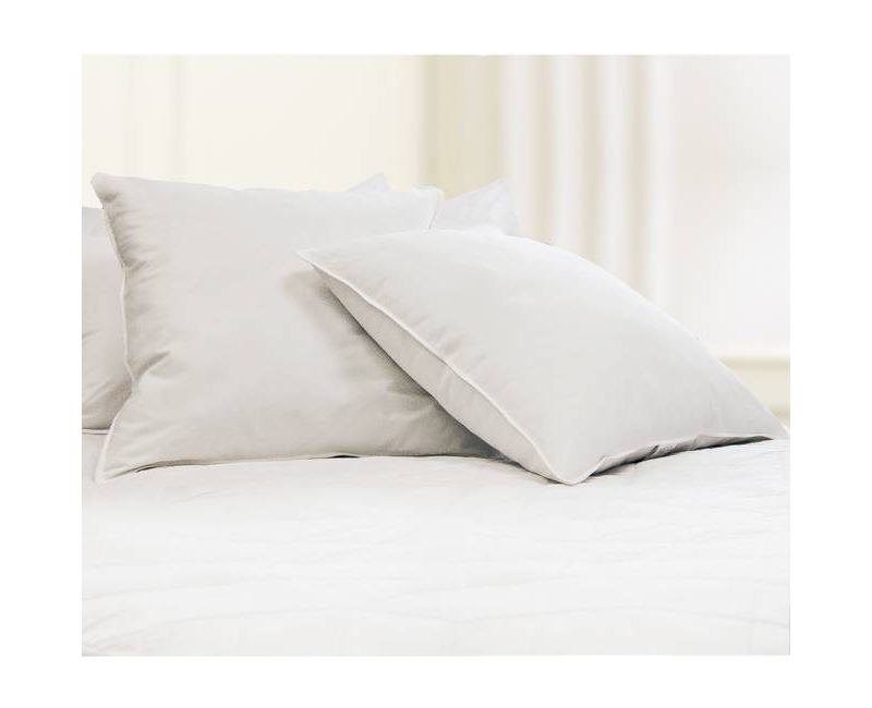 Feather Filled Euro Square Pillow White 2pk - Blue Ridge Home Fashions