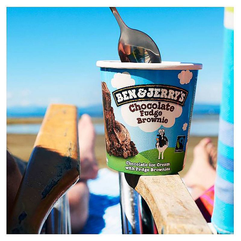 Ben & Jerry's Ice Cream Chocolate Fudge Brownie - 16oz