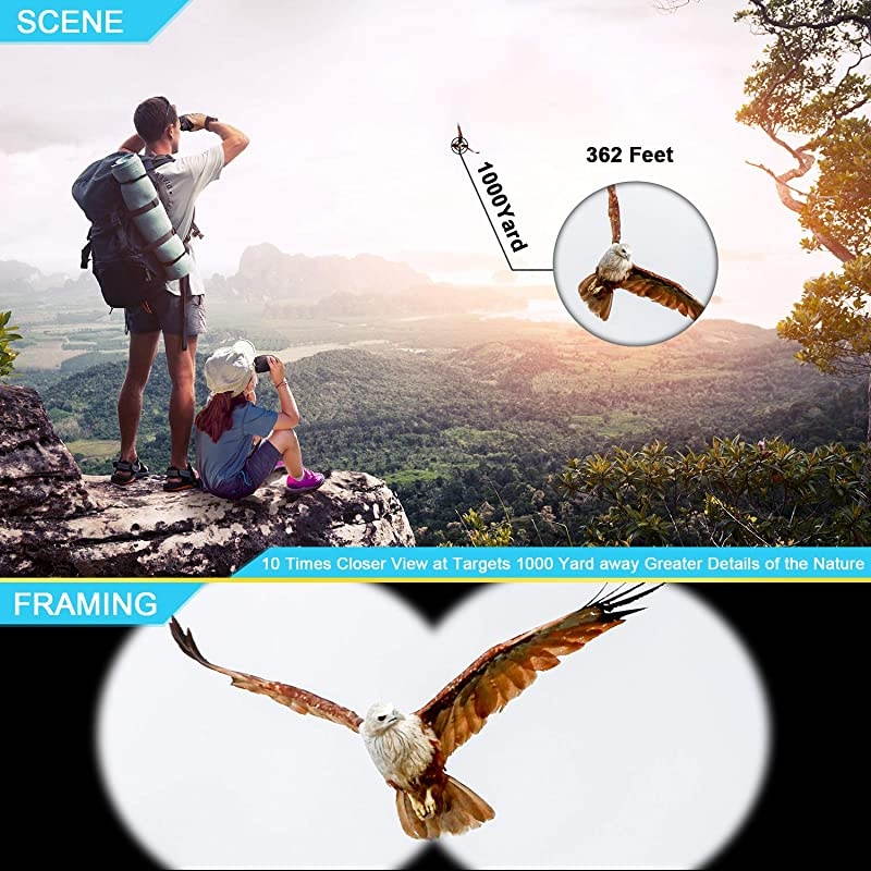 Binoculars for Adults Kids,  10x25 Folding Compact Binoculars with Weak Light Night Vision Clear for Birds Watching Hunting Traveling Concerts Outdoor Sports with Strap Carrying Bag