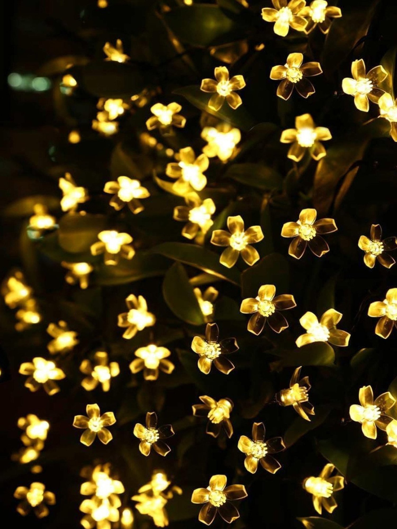 Xergy Silicone Flower LED String Fairy Lights Outdoor & Indoor for Home Decoration (Warm White)
