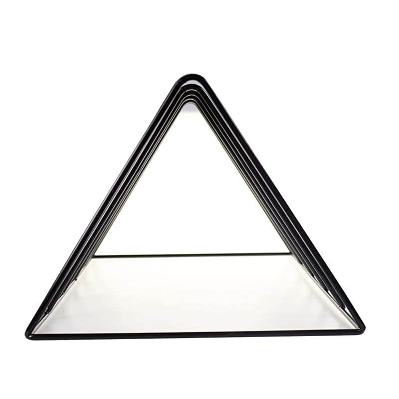 Vinyl Record Storage Holder Stand Premium Vinyl Coated Metal Wire Rack Holds up to 50 Album Lps Simple Functional and Contemporary Display Concept Design for 12 inch Records