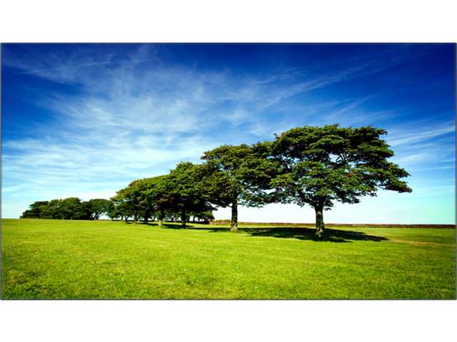 GT 28H Orge Burlap Lit JackOL