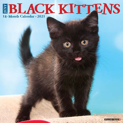 2021 Black Kittens Wall