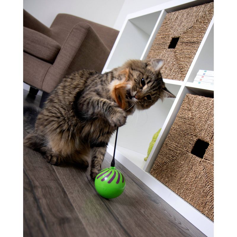 SmartyKat Feather Whirl Electronic Motion Ball Cat Toy