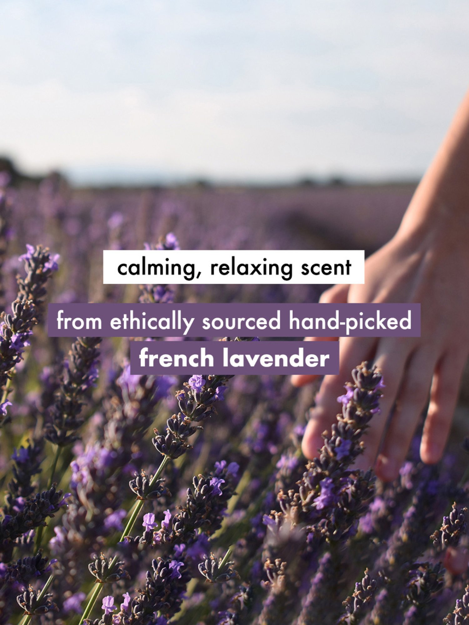 Love Beauty & Planet Argan Oil & Lavender Smooth and Serene Conditioner - 400 ml