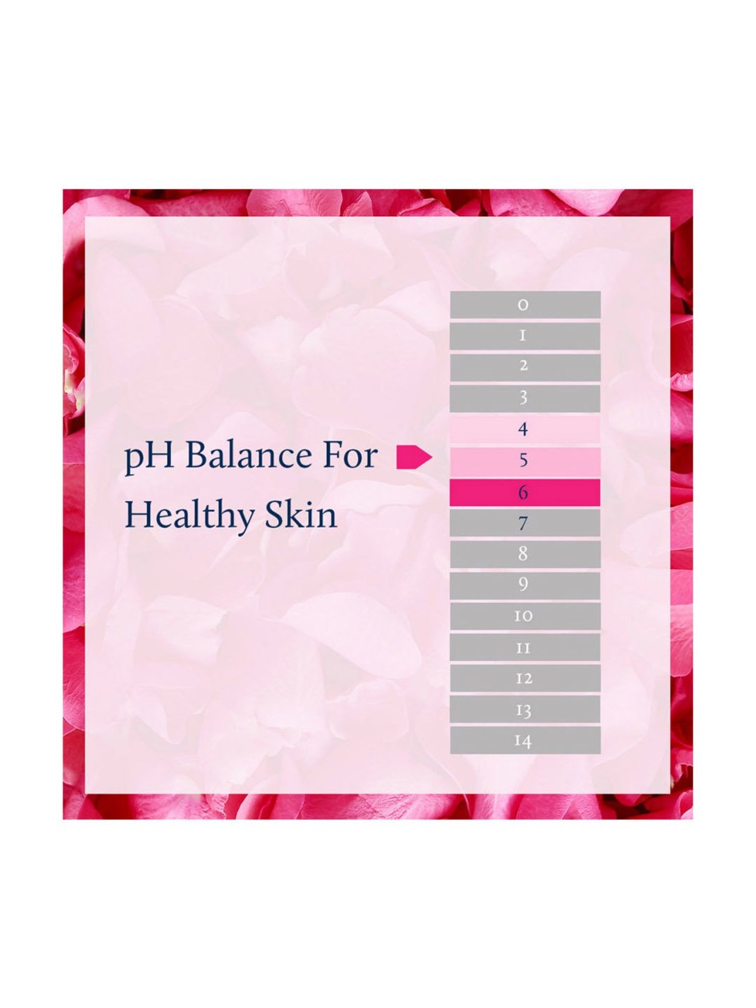 The Hade Tea Tree Facial Toner - 100 ml