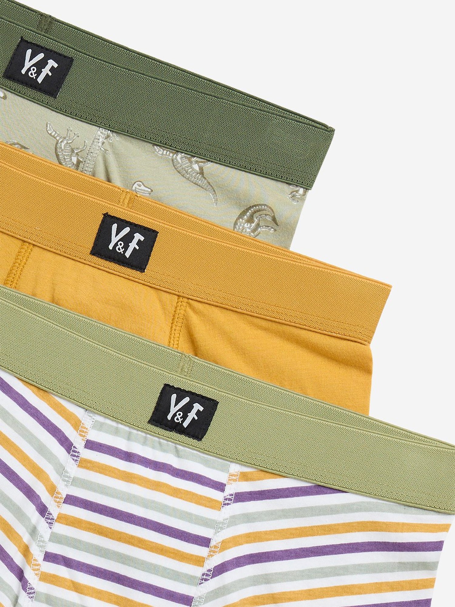 Y&F Kids by Westside Light Green Cotton Briefs - Pack of 3