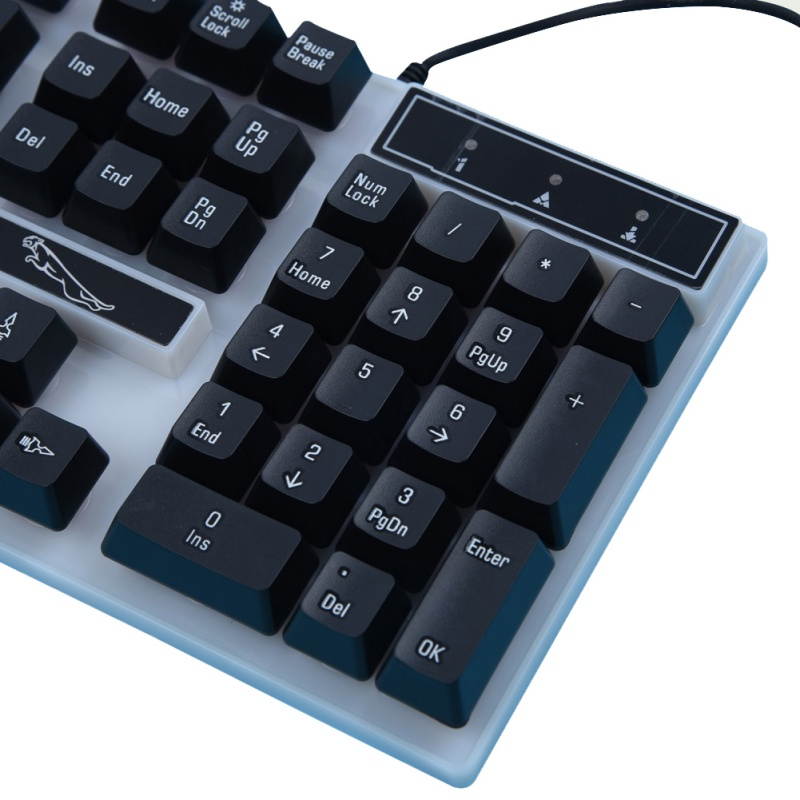 Wired USB Lighting Mechanical Feel Computer Keyboard Mouse Sets For PS4/PS3/Xbox One And 360 Gaming Keyboard and Mouse Combo Wired RGB LED Backlit 60% with Arrow Key Keyboard(Black)