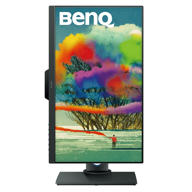BenQ PD2500Q 25 Inch Quad HD 2560 x 1440 2K 4ms HDMI DisplayPort Mini-DisplayPort Built-in Speakers USB 3.1 Hub Flicker-Free Low Blue Light Ultra Slim Bezel LED Backlit IPS Monitor