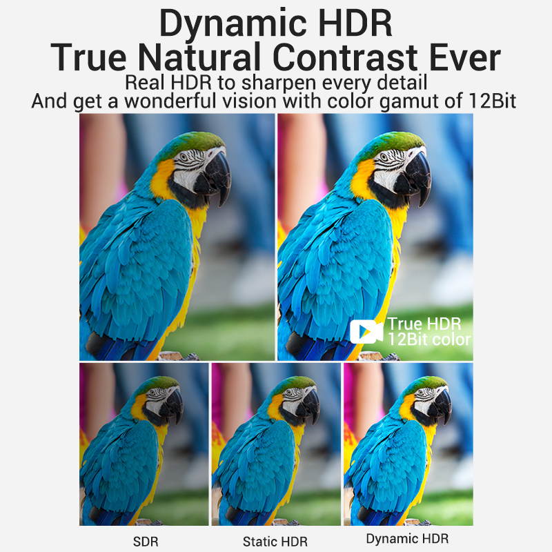 Tripp Lite HDMI to DVI Cable, Digital Monitor Adapter Cable (HDMI to DVI-D M/M), 1080P, 6-ft. (P566-006)