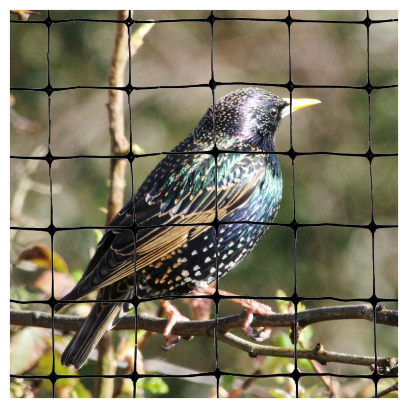 100'x14' Standard Bird Netting - Bird-X