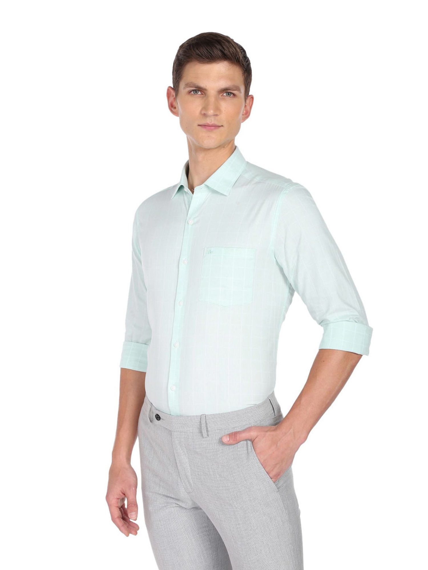 Arrow Mint Green Cotton Slim Fit Checks Shirt