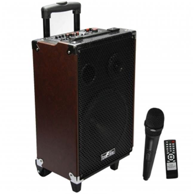 Befree Sound BFS-4700 10 in. 500 Watt Bluetooth Portable Speaker with USB, SD & FM Radio