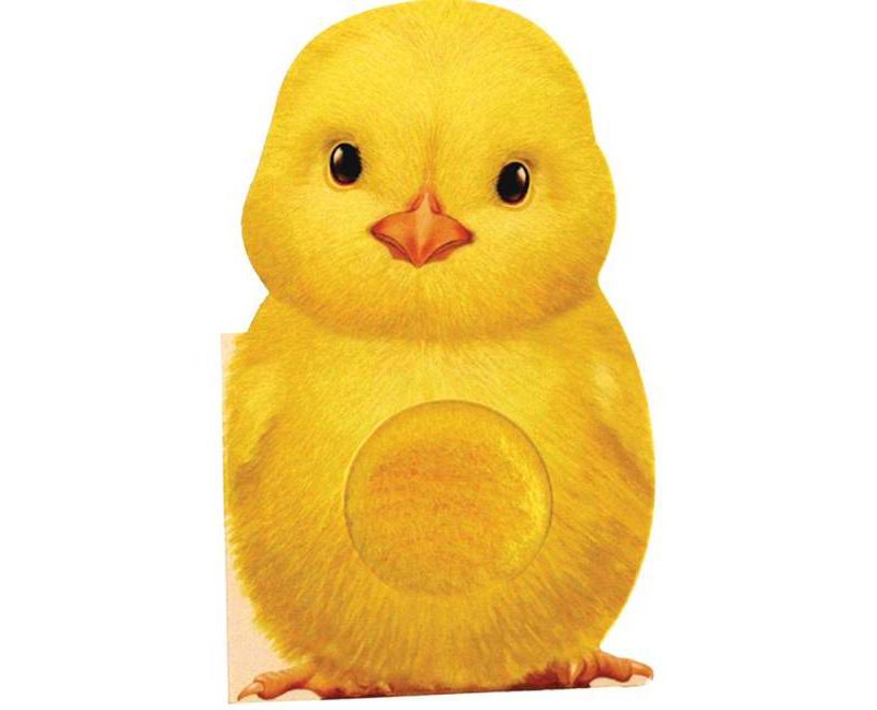 Furry Chick - (Mini Friends Touch & Feel Books) by Annie Auerbach (Board Book)