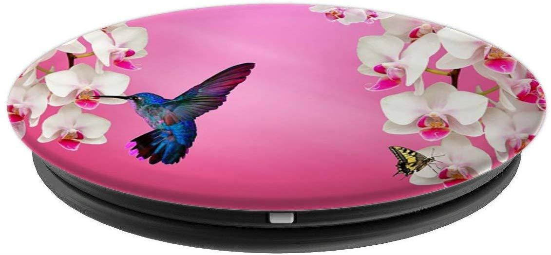 Hummingbird Watercolor Bird Floral Flowers Butterfly Nature