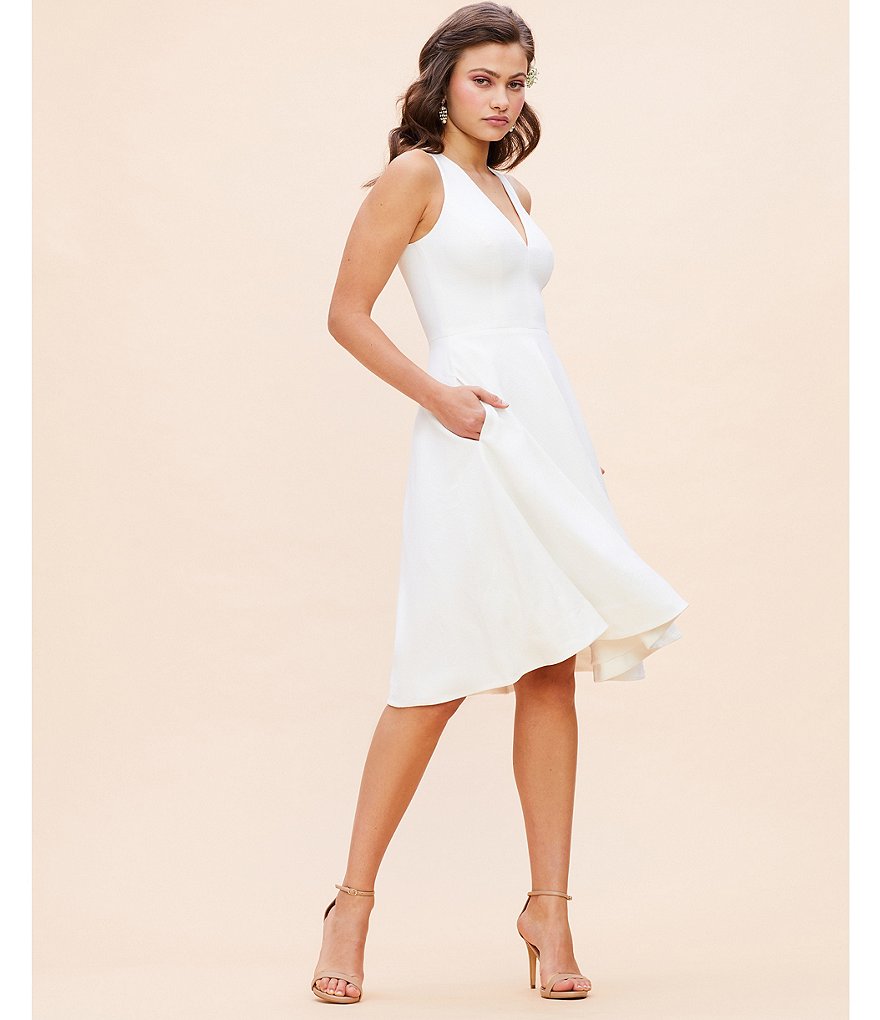 Dress the Population Catalina Crepe V-Neck Sleeveless A-Line Dress