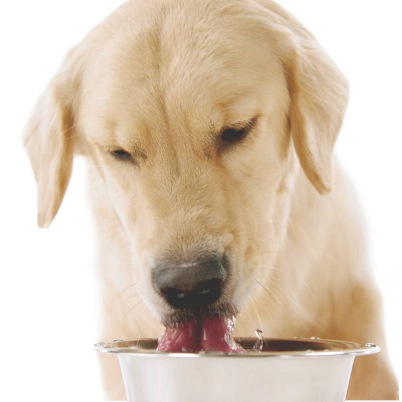 Naturel Promise Fresh Dental Health Solution Hip & Joint for Dogs - 18oz