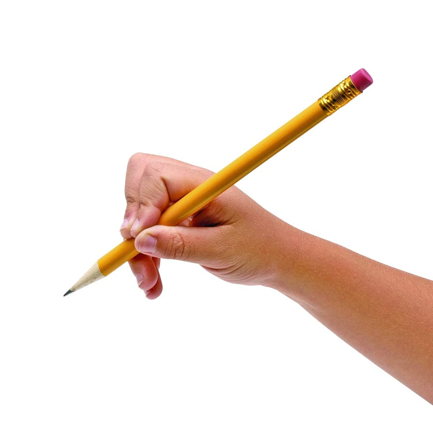 Colorations Primary Pencils with Erasers Set of 12 Pencils No 2 Grade Graphite Classroom Supplies