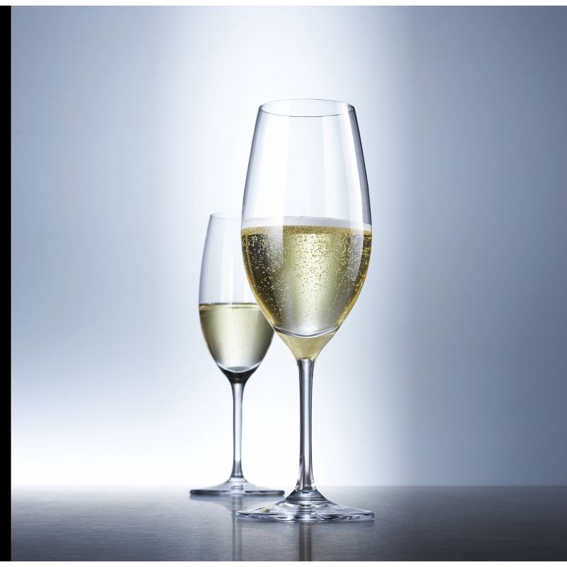 Schott Zwiesel 8.4oz 6pk Crystal Cru Classic Champagne Glasses