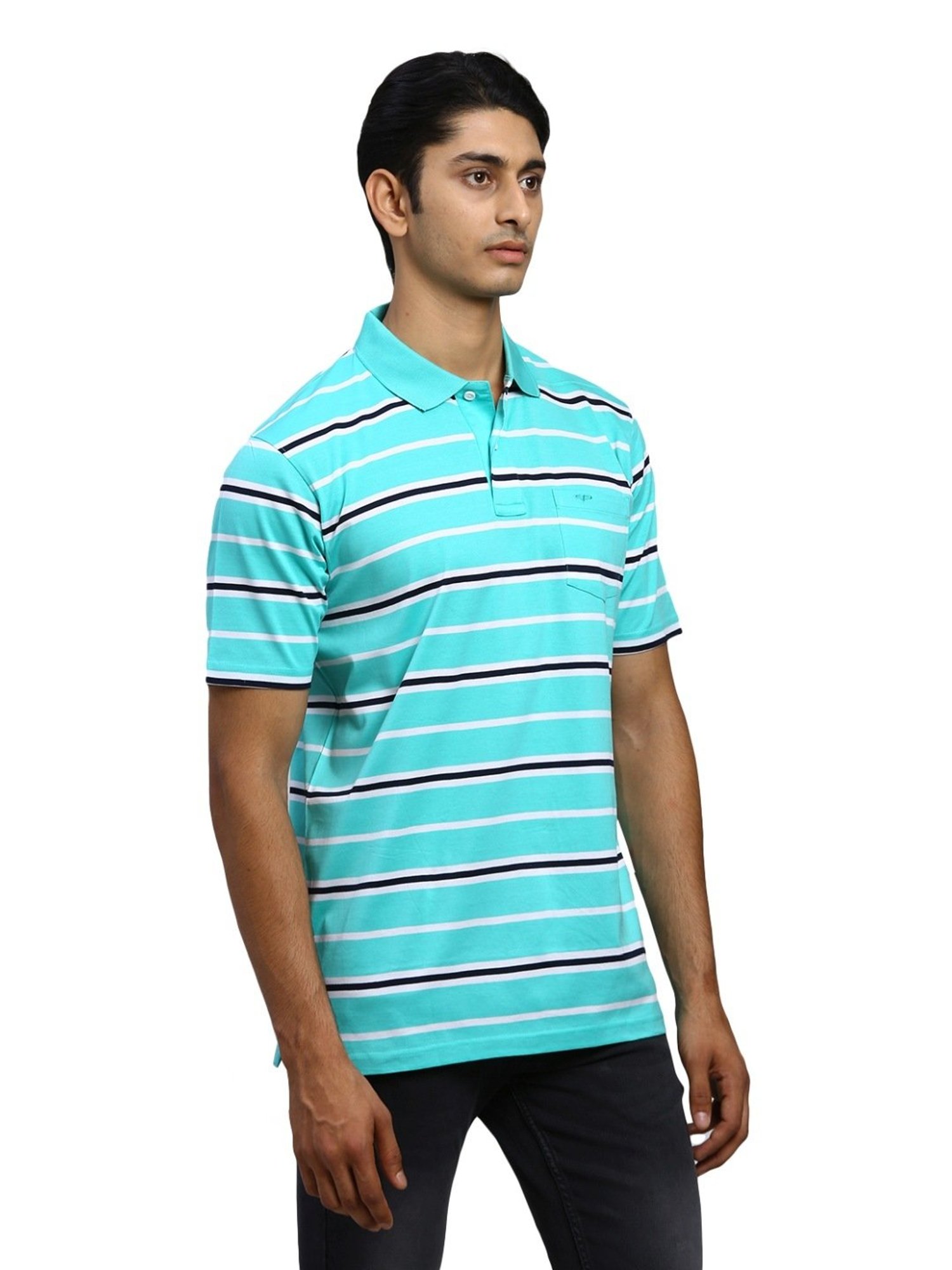 ColorPlus Green Cotton Classic Fit Striped Polo T-Shirt